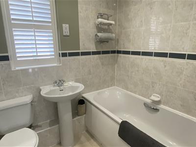 Picture 12